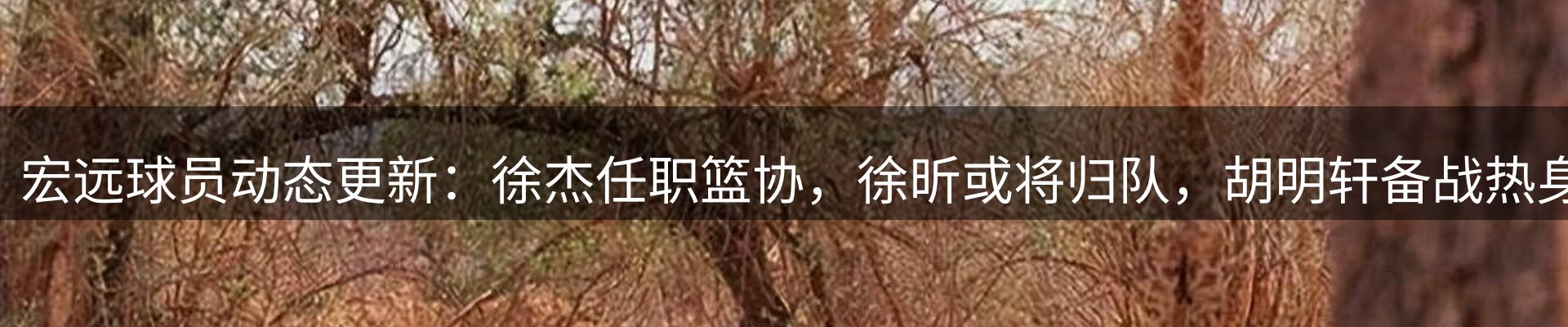 内页banner